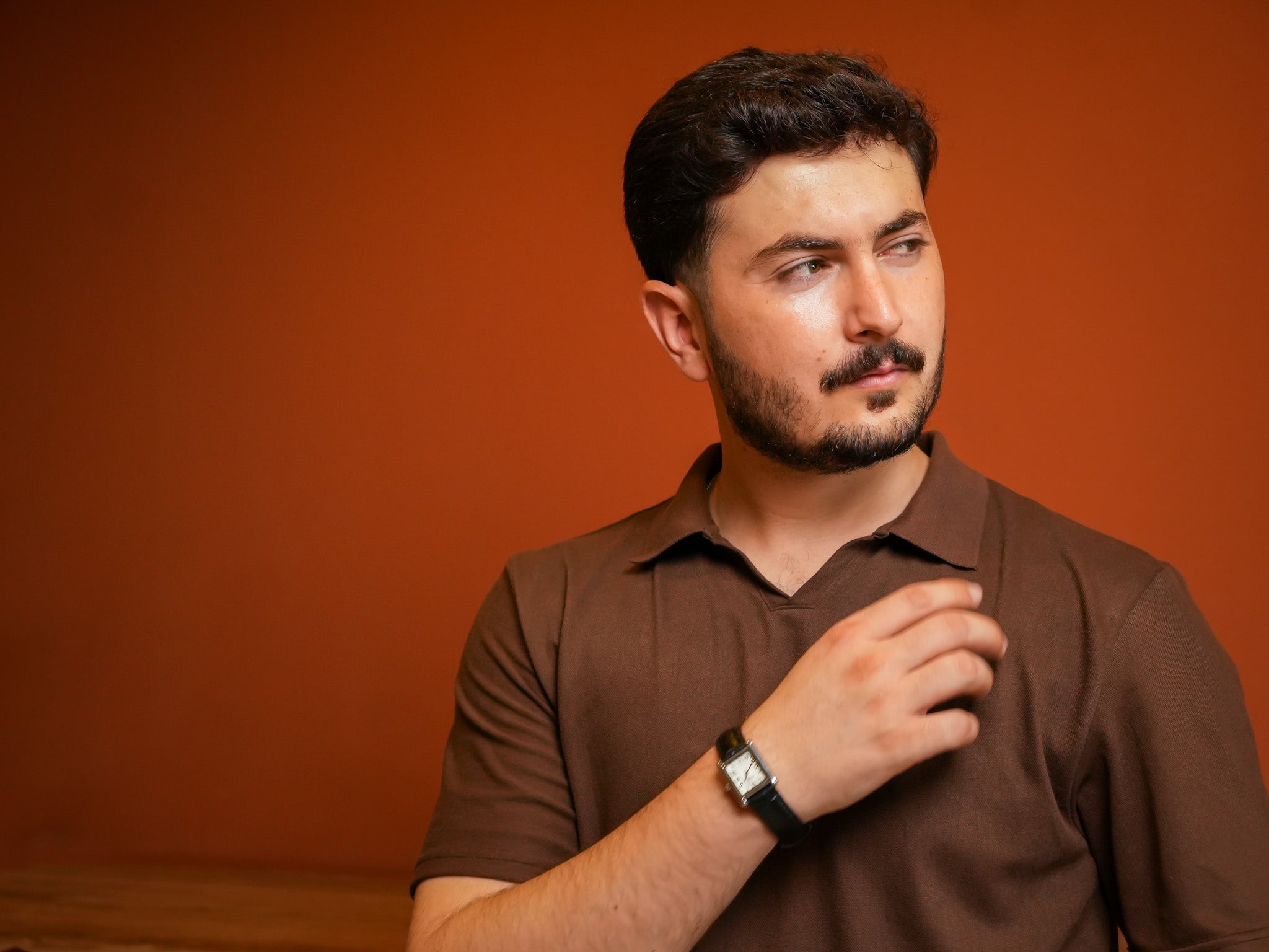 Brown Classic Polo